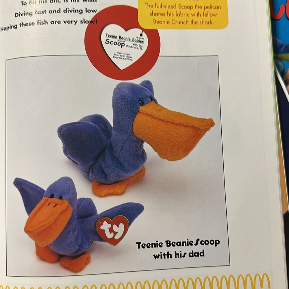 Magazine - Picture 4 of 5